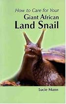 How to Care for Your Giant African Land Snail (Your first...series)