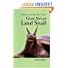 How to Care for Your Giant African Land Snail (Your first...series)
