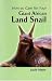 How
to
Care
for
Your
Giant
African
Land
Snail
(Your
first...series)