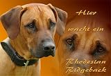 Metall - Warnschild Rhodesian Ridgeback