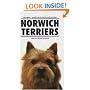 Norwich Terriers