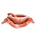 Fitz and Floyd Seaboard Butter Server with Spoon