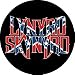 Lynyrd Skynyrd Flag Logo Button B-1092