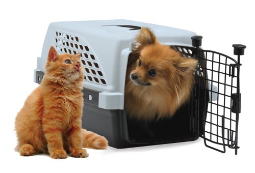 Buy Firstrax 23-Inch Pet Suites Multi-Use Pet Kennel online at Discounted New and Used prices. Delivered to your door with Off-The-Bookshelf.