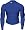 Under Armour Royal Cold Gear Mock
