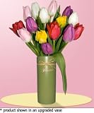15 Mixed Tulips