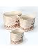 Vintage Effect Cream Bucket - Set of 3