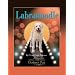 Labradoodle: Comprehensive Owner's Guide (Kennel Club Books Designer Dog)