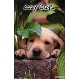(24x36) Lazy Days (Puppy) Photo Print Poster
