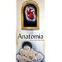 Anatomia