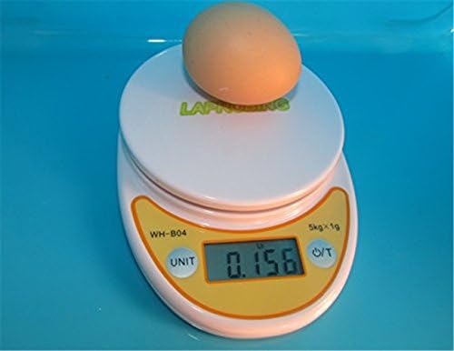 LAPROBING® Digital Multifunction Kitchen and Food Scale without Removable Bowl, Elegant White