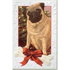Pug Boxed Christmas Cards - 16 Cards & 17 Envelopes