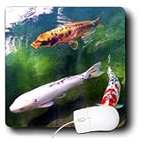 Fishing - Chinese Koi Carp Fish - Mouse Pads