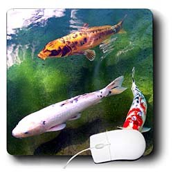 Fishing - Chinese Koi Carp Fish - Mouse Pads