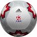 �V�c�t�������EFC�����~�Z���b�\���@������ˌ�����������I