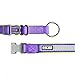 Pawtitas Lumberjack Padded Martingale Collar for Dogs | Soft Neoprene Dog Collar for Your pet's Comfort Made with Reflective Band for Maximum Visibility | Fits Small and Large Pets - Large Purple