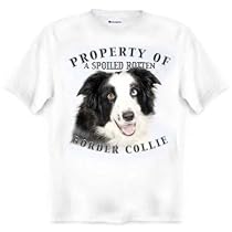 Border Collie Property Of Adult T Shirt