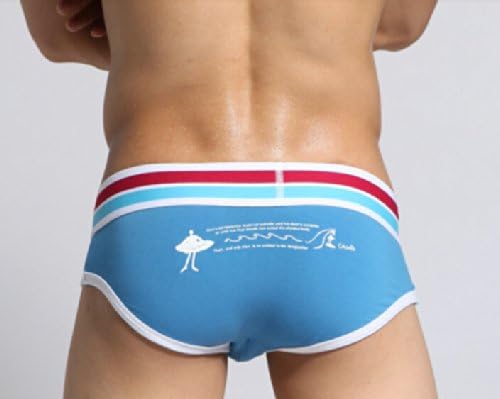 Only You Hot Selling Cotton Underwear Sexy Men's Underwear Briefs Avant-garde Fashion Sexy Men's Underwear U Convex Bursa 20 (L/31-33inches, blue)