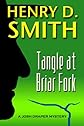 Tangle at Briar Fork: A Josh Draper Mystery
