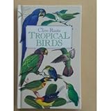 Tropical birds