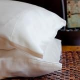 100% Pure Mulberry Silk Pillowcase King 19mm (Single, White)