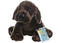 Webkinz Chocolate Lab