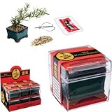 Mini Bonsai Garden - Toysmith