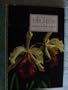 The Forgotten Orchids of Alexandre Brun