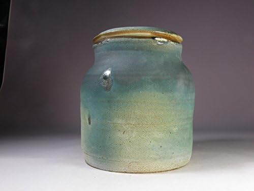 Wheel thrown decorative soda fired cookie jar.