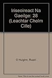Léachtaí Cholm Cille. 28, Iriseoireacht na Gaeilge
