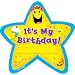 Creative Teaching Press Adhesive Badges - Birthday Star - 6 1/4 x 3 1/4 inch - Pack of 36