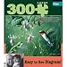 Hummingbirds and Fuschia 300 pc Hautman Brothers Large Format Jigsaw Puzzle by Buffalo Games