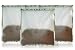 BlueAvocado Re-Zip Bulk Lunch Bag, Kiwi Wildflower, 4-Pack