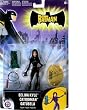 The Batman Animated Action Figure Selina Kyle (Catwoman)