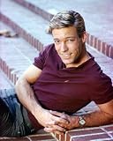 RICHARD CHAMBERLAIN 24X36 COLOR POSTER PRINT