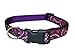 Large Pretty Paisley Dog Collar: 1