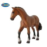 Competition Horse