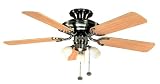 Review Fantasia  / Mayfair 42 Inch Ceiling Fan