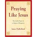 Praying Like Jesus (The Lord's Prayer in a Culture of Prosperity) (Hardcover)