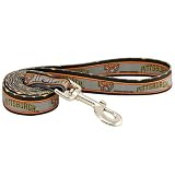 MLB Pittsburgh Pirates 6' Gray Dog Leash (Large)