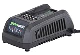 Greenworks 29292 40-Volt Charger for 2 Amp Hour and 4 Amp Hour Batteries