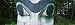 Detail of a Haida Totem Pole in Tongass National Forest, Alaska Photographic Poster P...