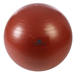 Natural Fitness 65cm Professional Burst-Resistant Exercise Ball (Red Rock)