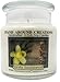 Premium 100% Soy Apothecary Candle -16 oz. - Vanilla Sandalwood - A beautiful combination of luscious rich vanilla, and Indian Sandalwood.