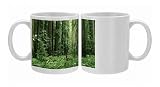 Coast Redwoods Photo Mugs