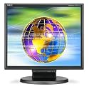 NEC MultiSync LCD195VX+BK 19 inch 600:1 5ms DVI Height-adjustable LCD Monitor (Black)