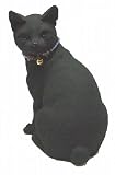 ちゃこぺっと ジャパニーズボブテール R37の画像