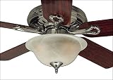 Hunter 28300 12 Bowl Light 120watt - Swirled Marble