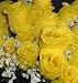 84 Silk Rose Flowers w/Raindrops - Wedding Flowers - Bridal/Floral - Yellow