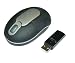 Wireless Travel Storeaway WIRELESS Optical Mobile Mouse 800Dpi, for pc or LAPTOP NOTEBOOK - Snap in Receiver w/ AAA batteries